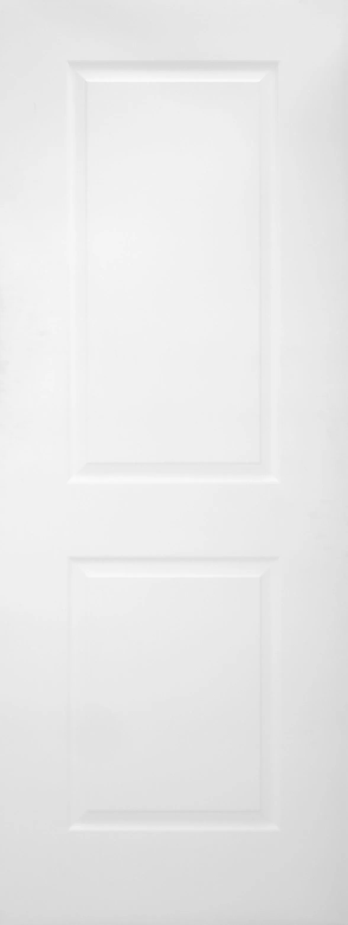 30x80 2 Panel Hollow Core Door in White