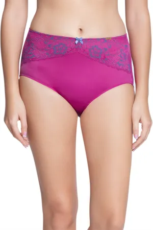 Lace High Rise Seamed Full Brief Panty - Flamenco